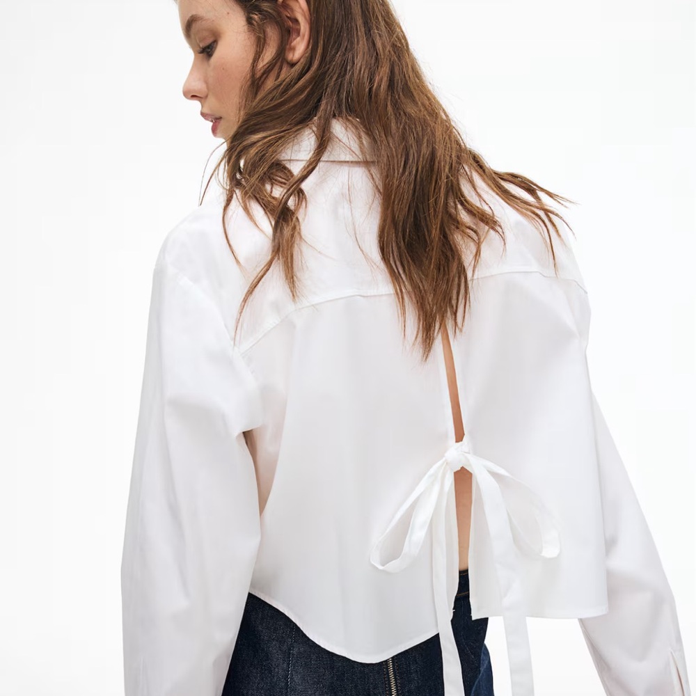 Cropped Button Down with Tie Back Detail NWT